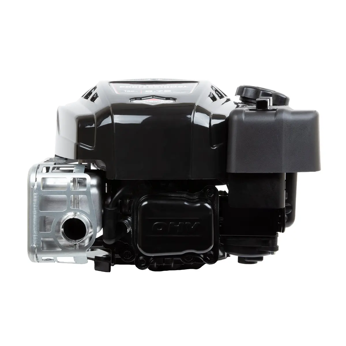 Briggs & Stratton 123P02-0018-F1 Professional 8.5 Gt 190Cc Vertical Engine 1