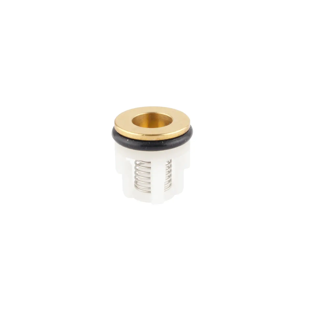 Briggs & Stratton 204082Gs Check Valve Kit 1