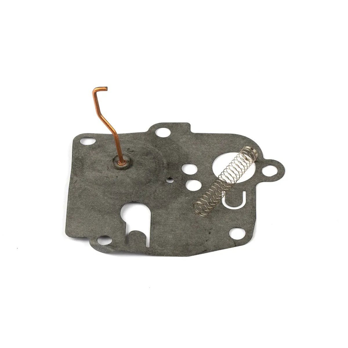 Briggs & Stratton 391681 Kit-Pump/Choke Dia 1