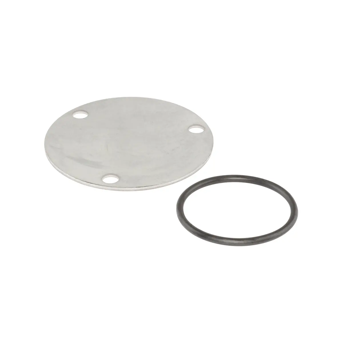 Briggs & Stratton 499613 Oil Pump Cover 1