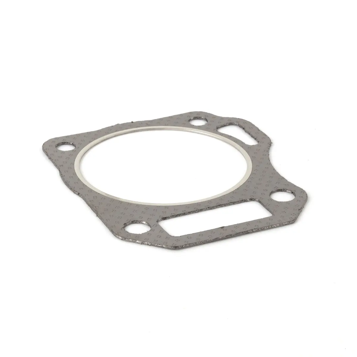 Briggs & Stratton 591445 Cylinder Head Gasket 1