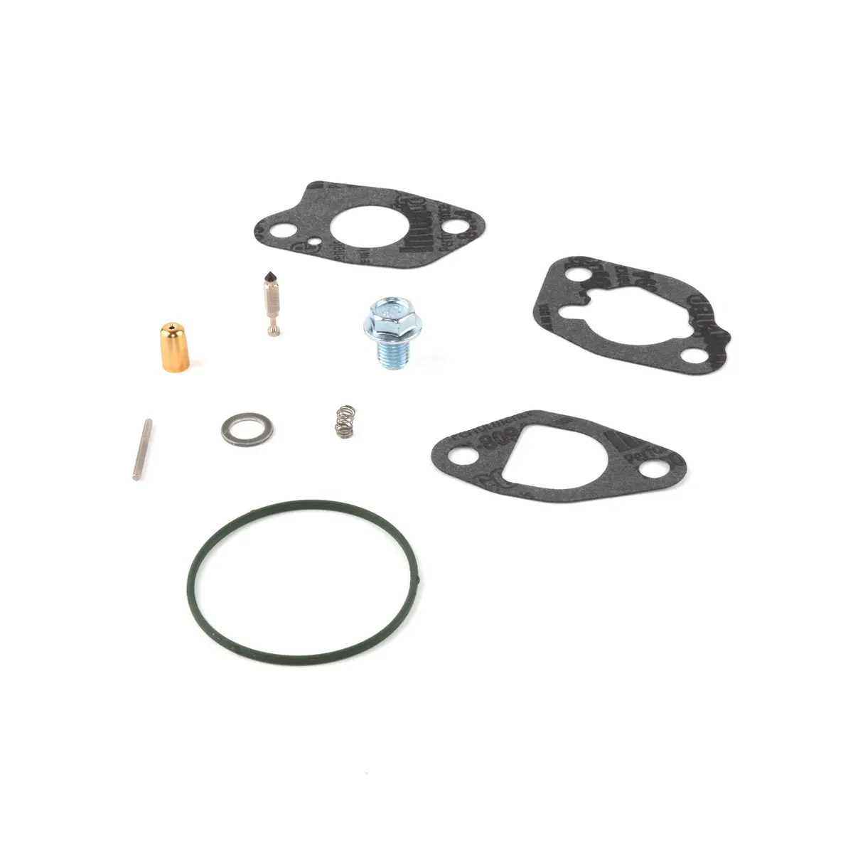 Briggs & Stratton 591770 Carburetor Overhaul Kit 1