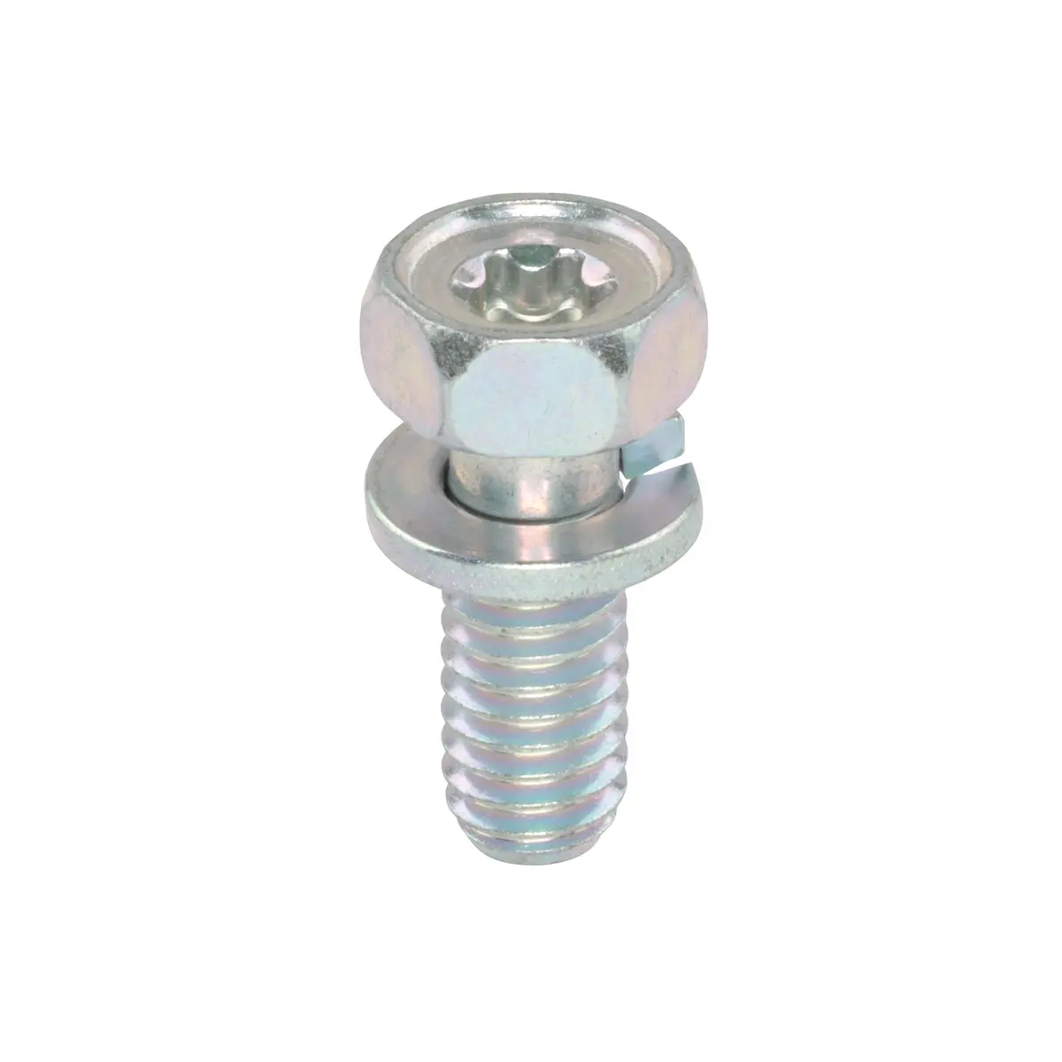Briggs & Stratton 690341 Screw 1