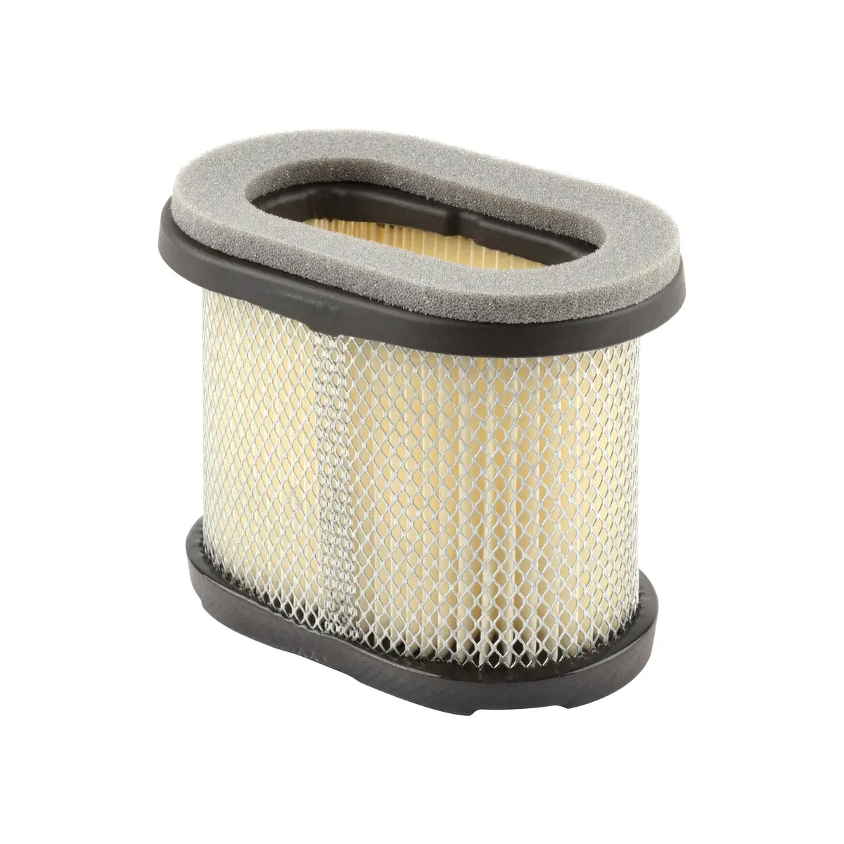 Briggs & Stratton 697029 Air Cleaner Cartridge Filter 1