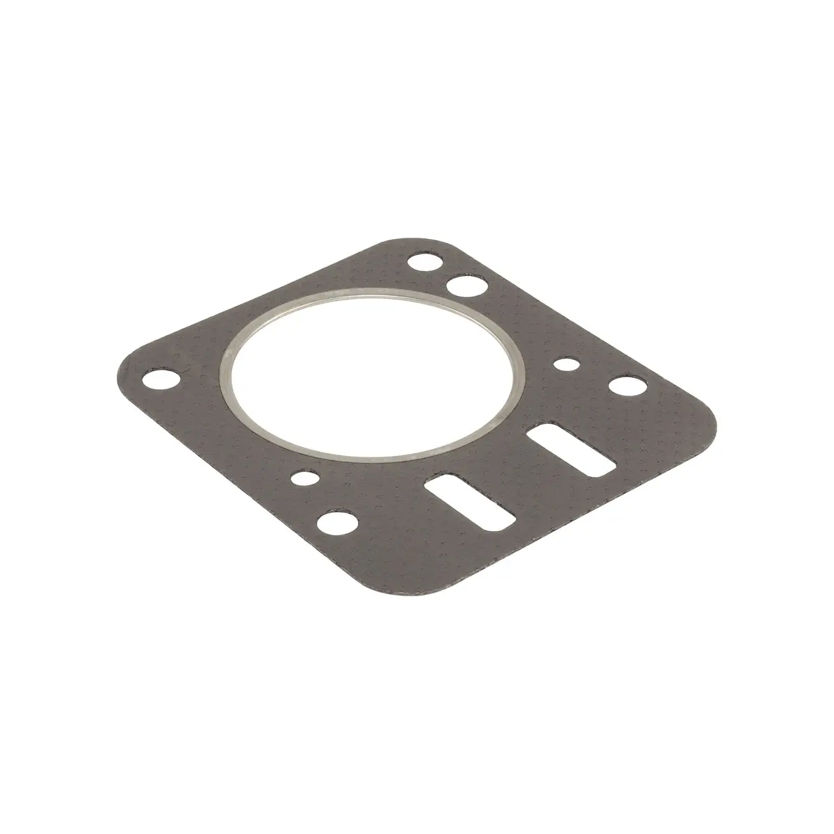 Briggs & Stratton 798461 Cylinder Head Gasket 1