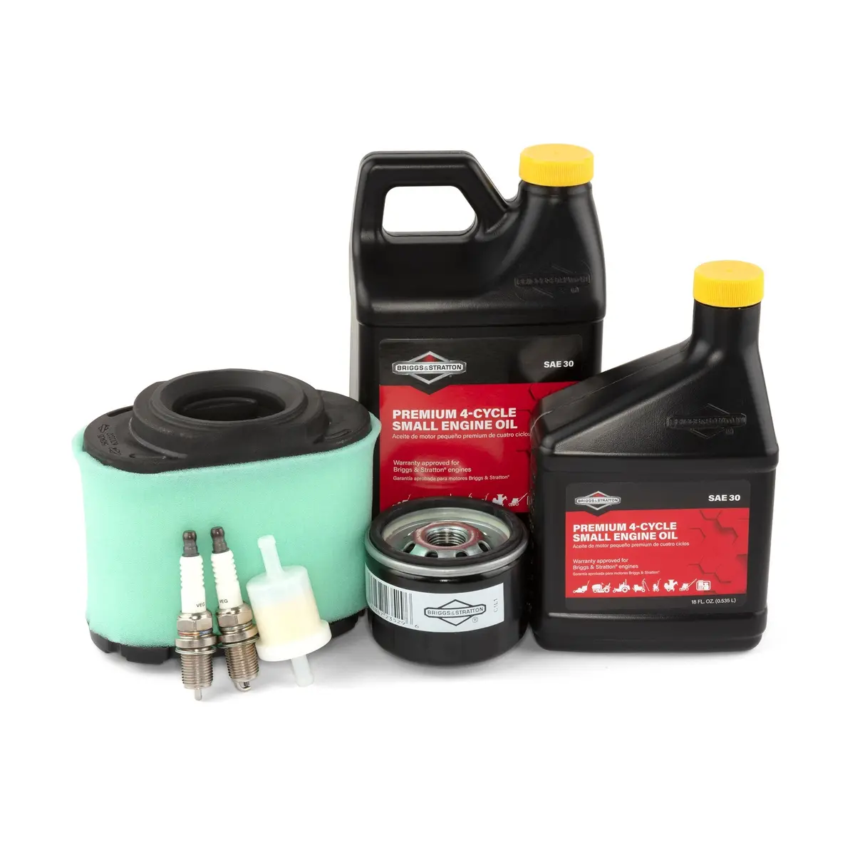 Briggs & Stratton 84002317 Maintenance Kit 1