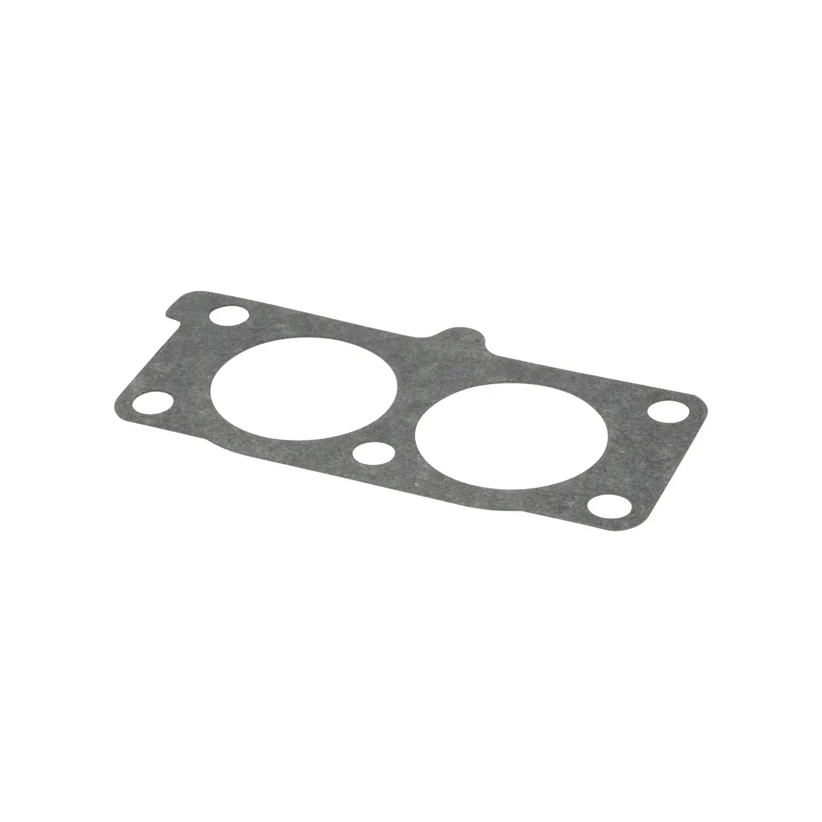 Briggs & Stratton 841882 Intake Gasket 1