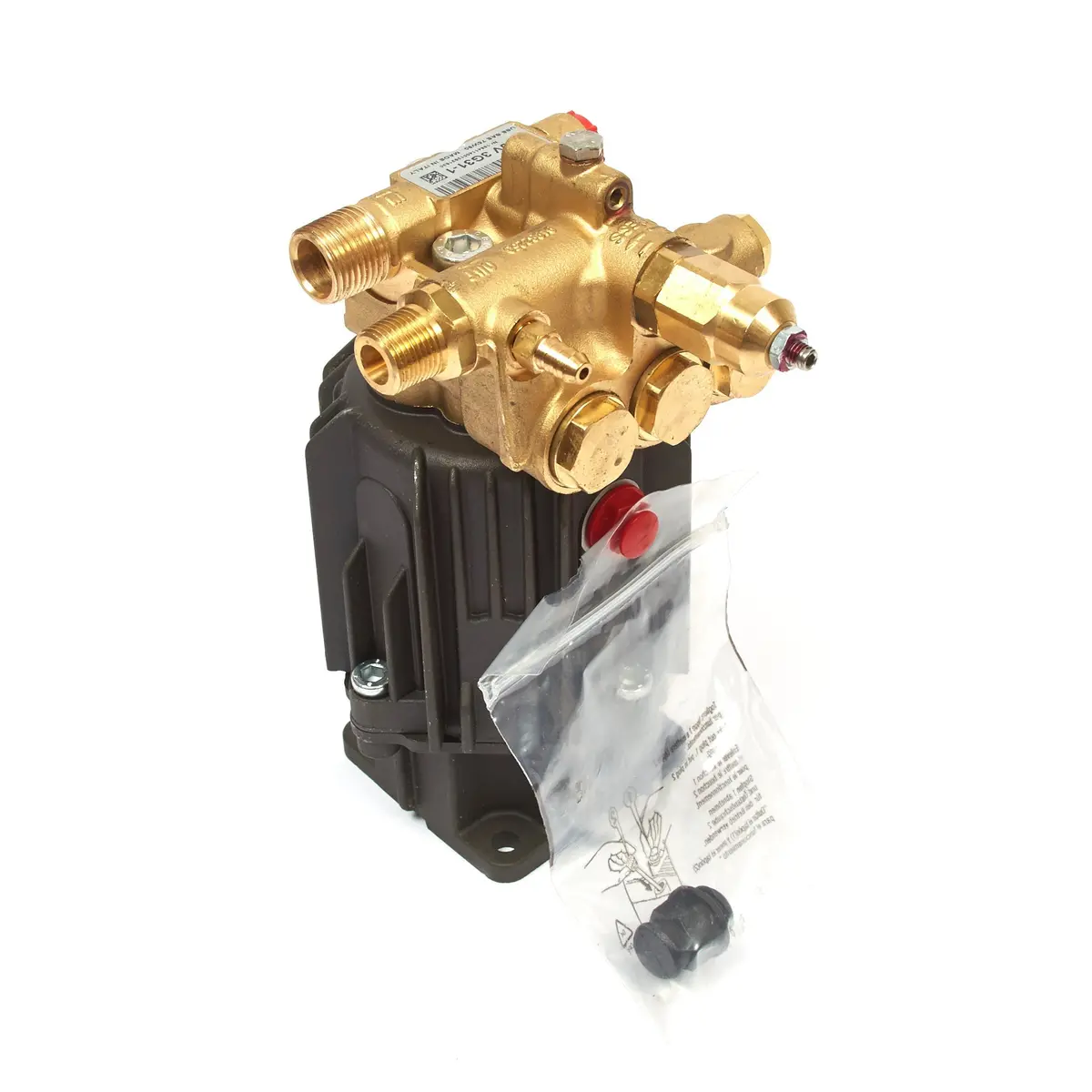 Briggs & Stratton 202005Gs Pump 1