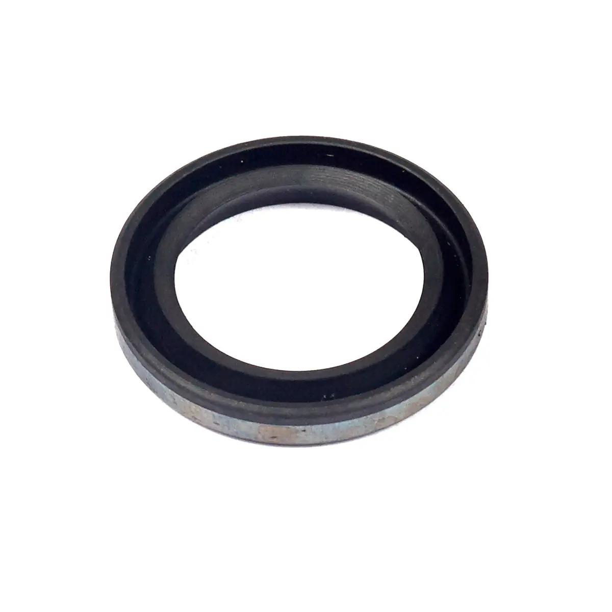 Briggs & Stratton 299819S Oil Seal 1