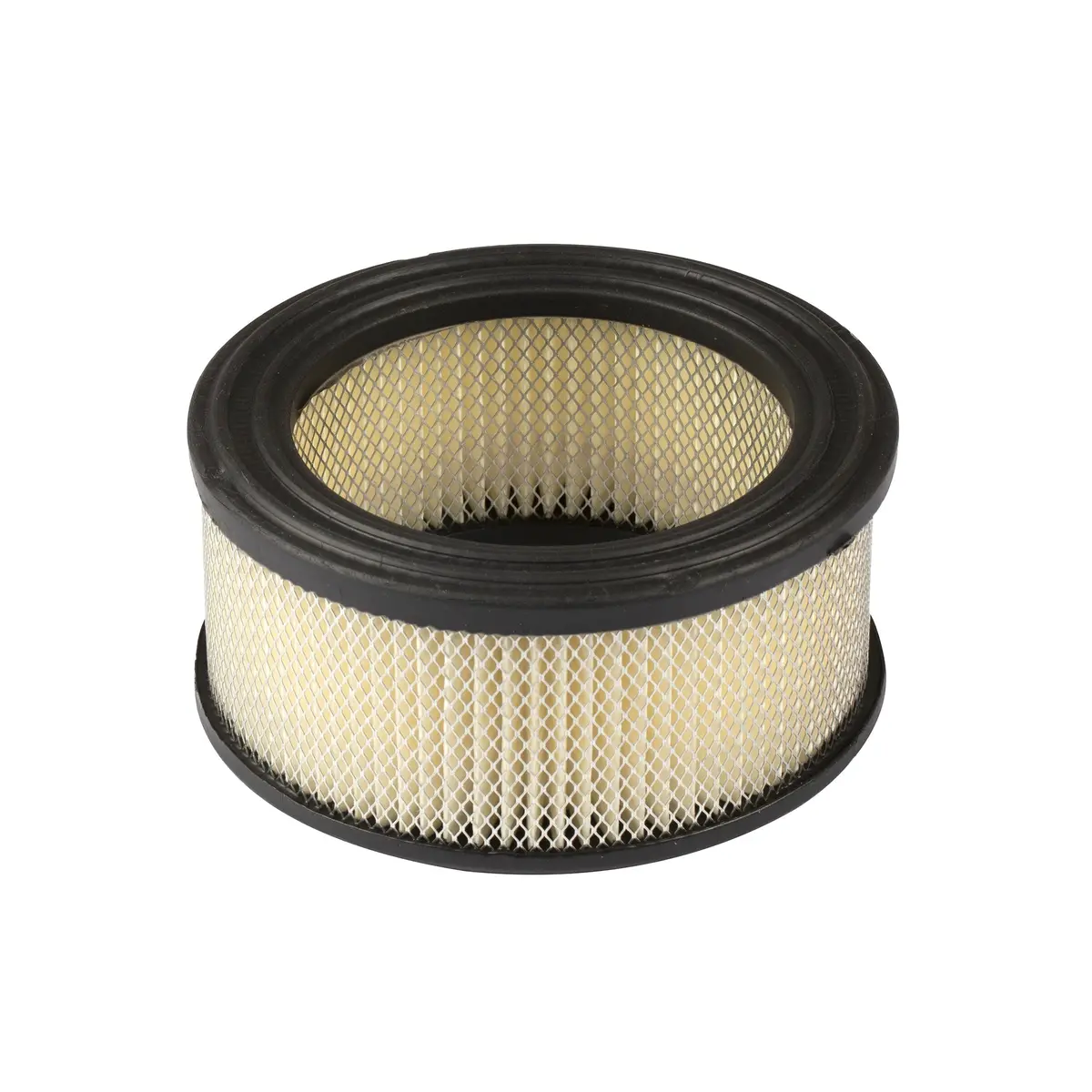 Briggs & Stratton 392286 Air Cleaner Cartridge Filter 1