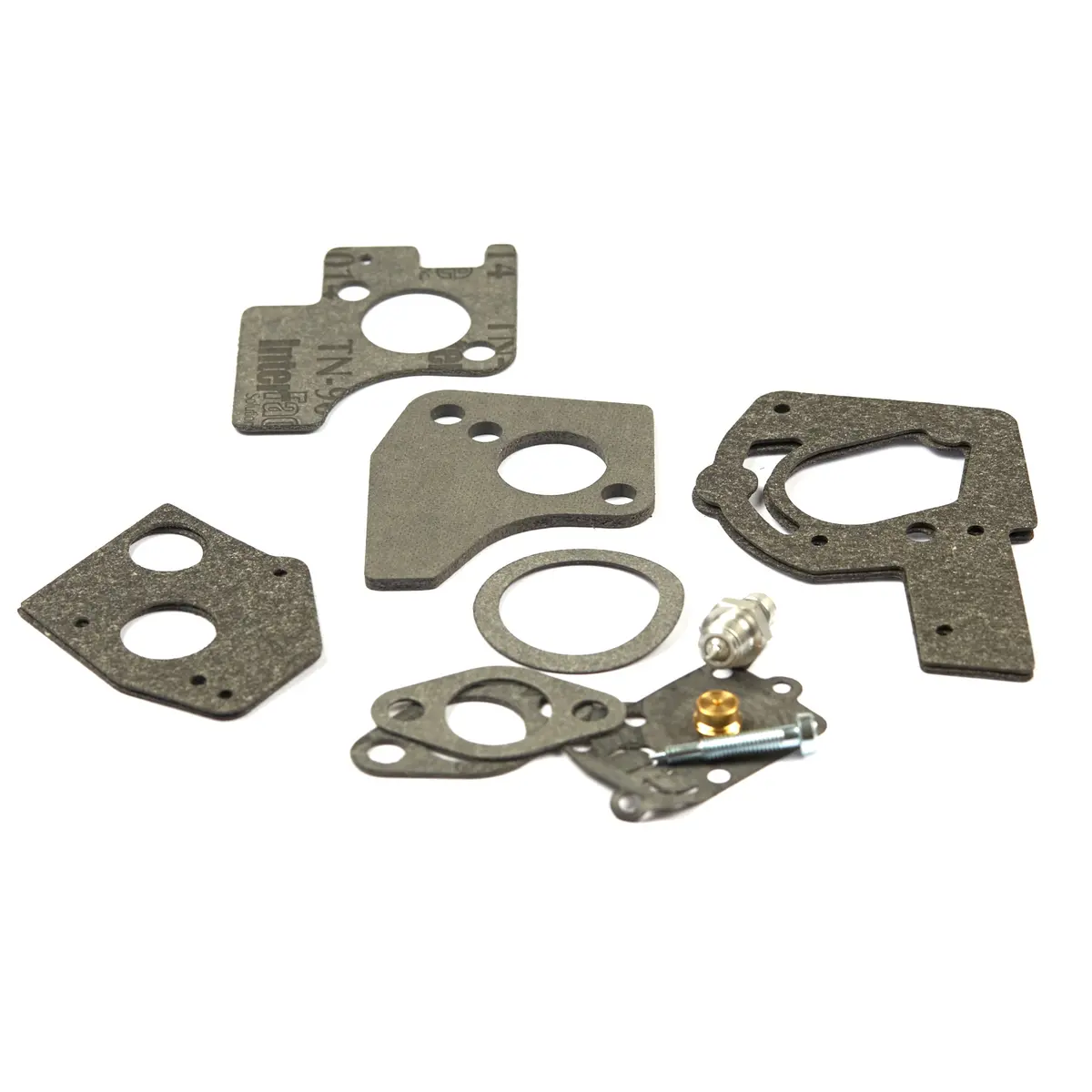 Briggs & Stratton 495606 Carburetor Overhaul Kit 1