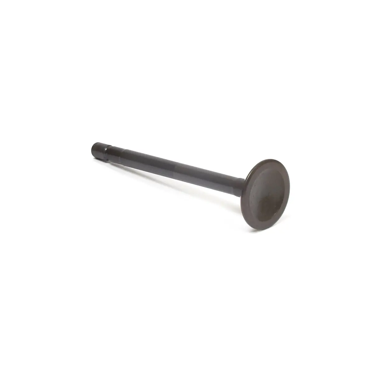 Briggs & Stratton 555552 Exhaust Valve 1