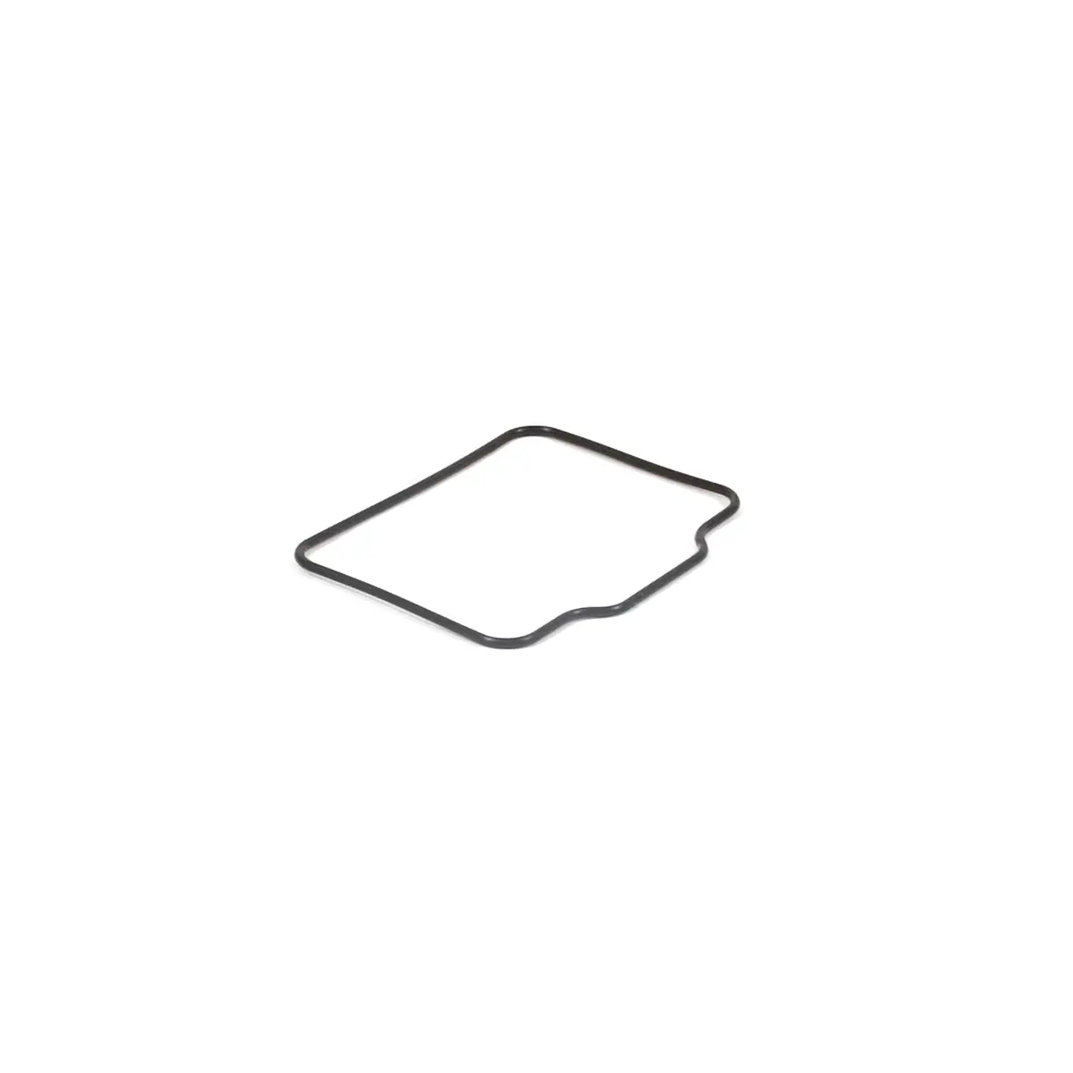 Briggs & Stratton 555592 Float Bowl Gasket 1