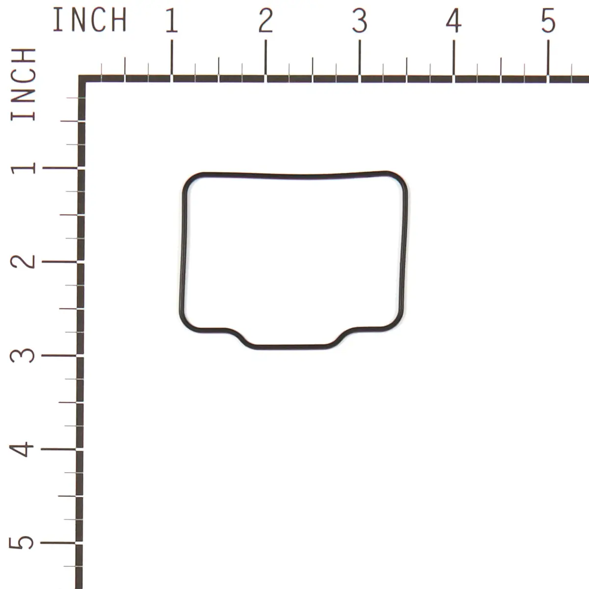 Briggs & Stratton 555592 Float Bowl Gasket 2