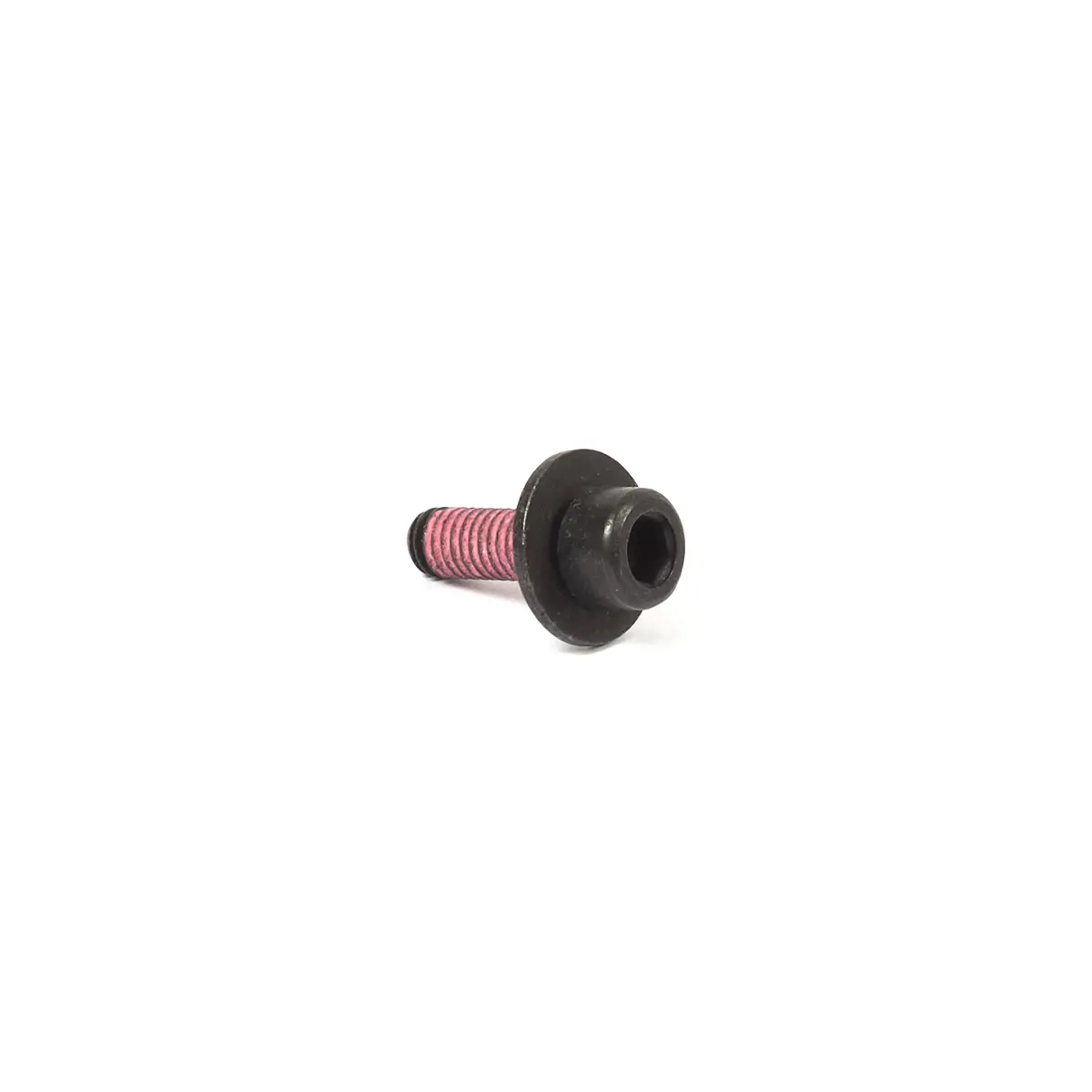 Briggs & Stratton 555644 Screw 1