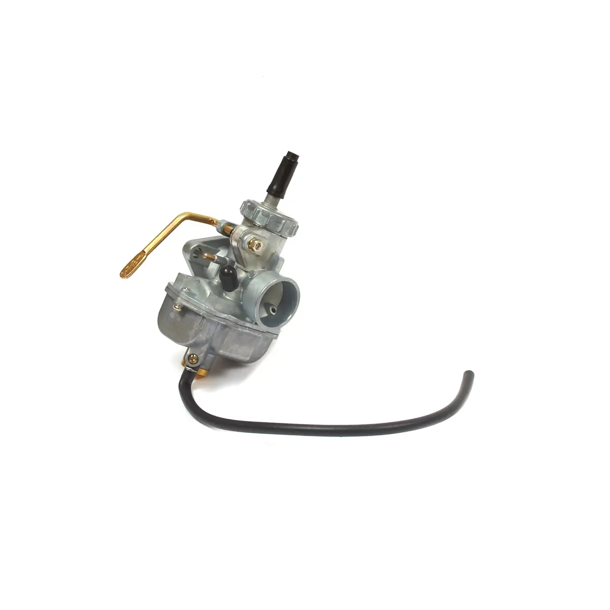 Briggs & Stratton 555658 Carburetor 1