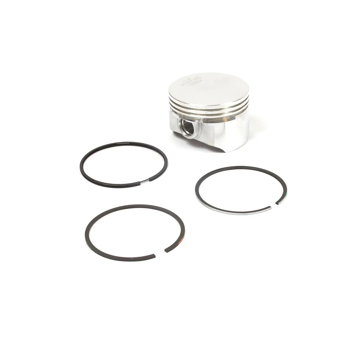 Briggs & Stratton 555660 Piston Assembly 1