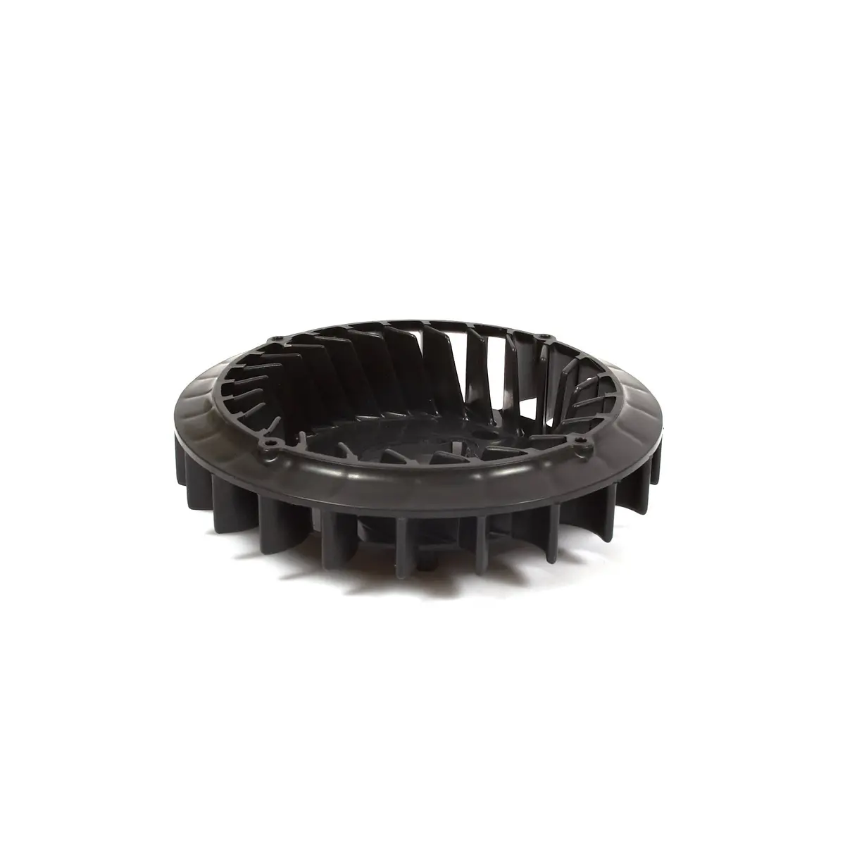 Briggs & Stratton 555778 Flywheel Fan 1