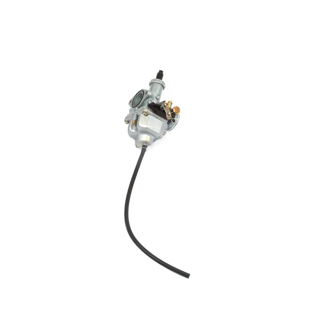 Briggs & Stratton 557006 Carburetor 1
