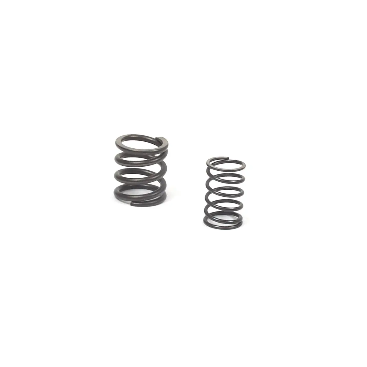 Briggs & Stratton 557024 Valve Spring 1