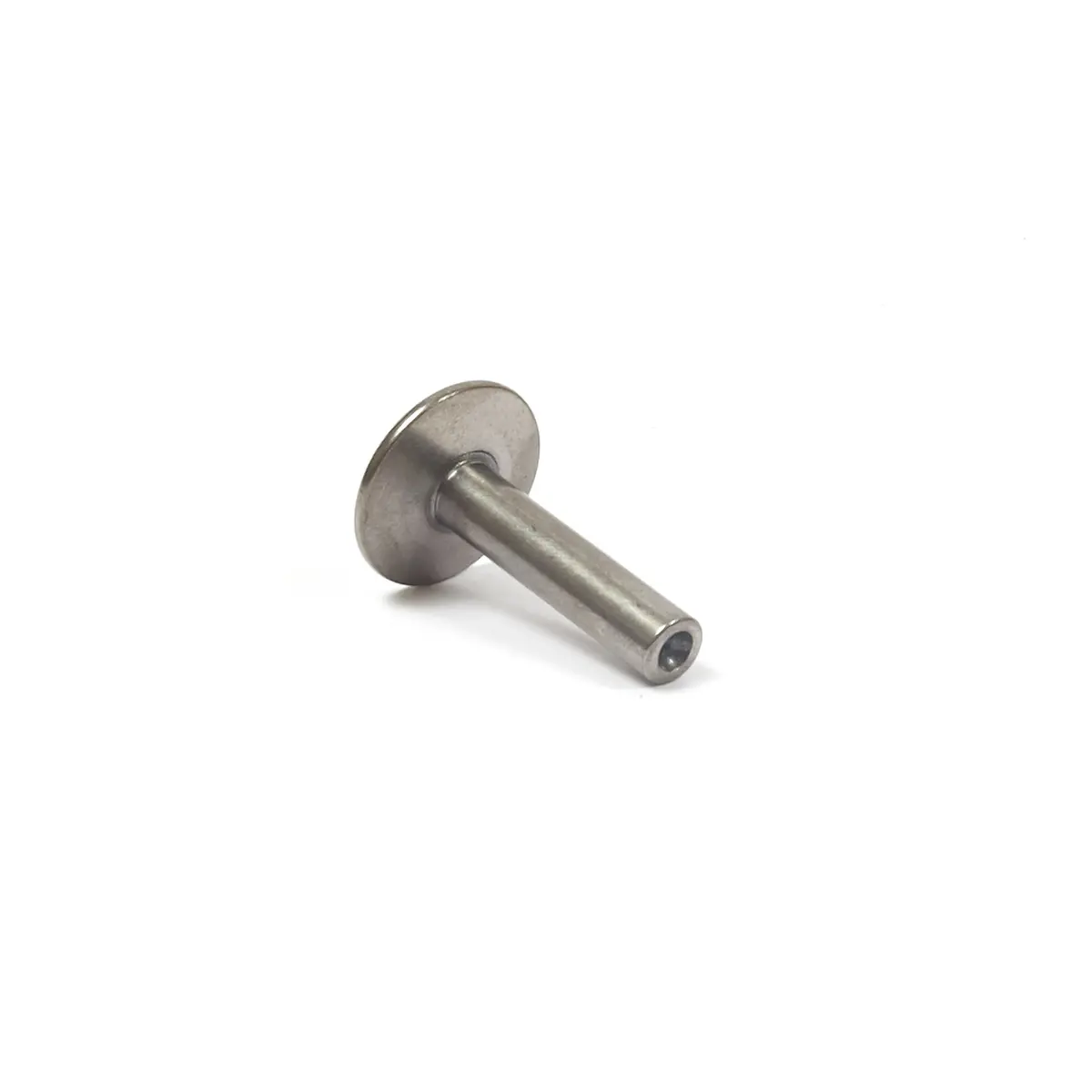 Briggs & Stratton 557098 Valve Tappet 1