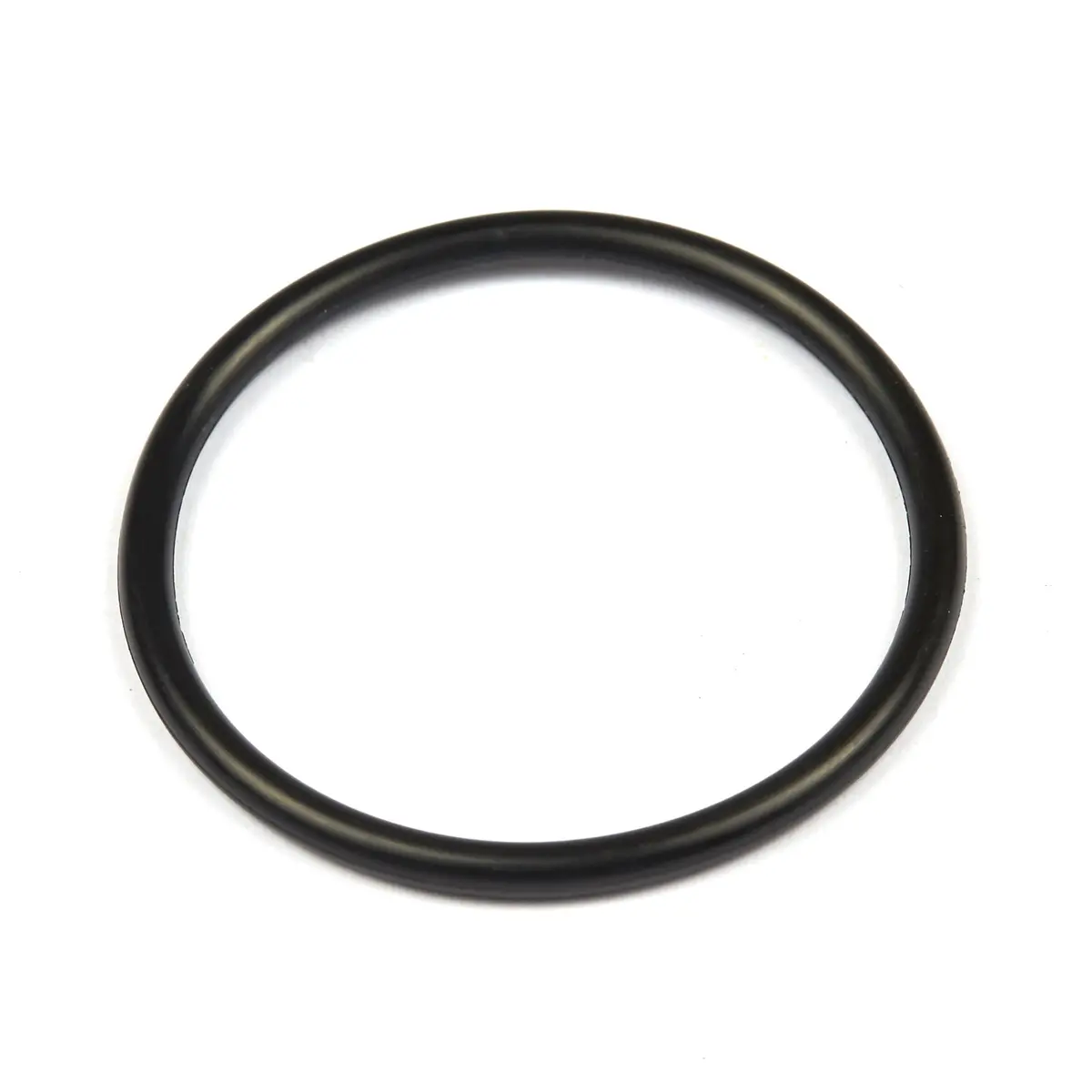 Briggs & Stratton 690589 O-Ring Seal 1