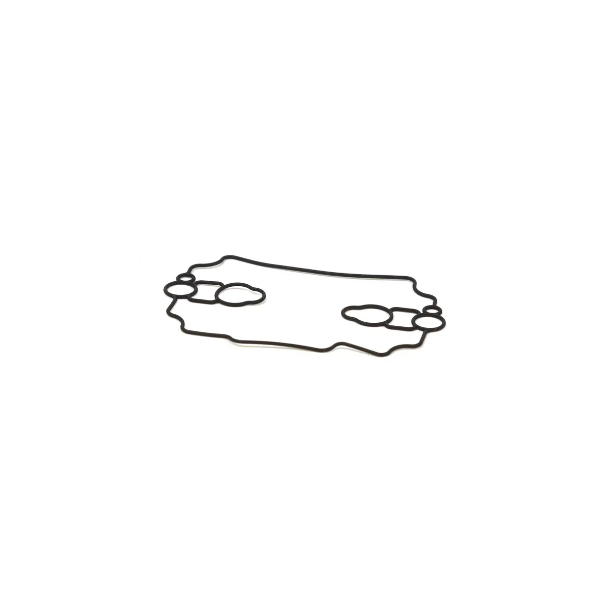 Briggs & Stratton 693711 Float Bowl Gasket 1