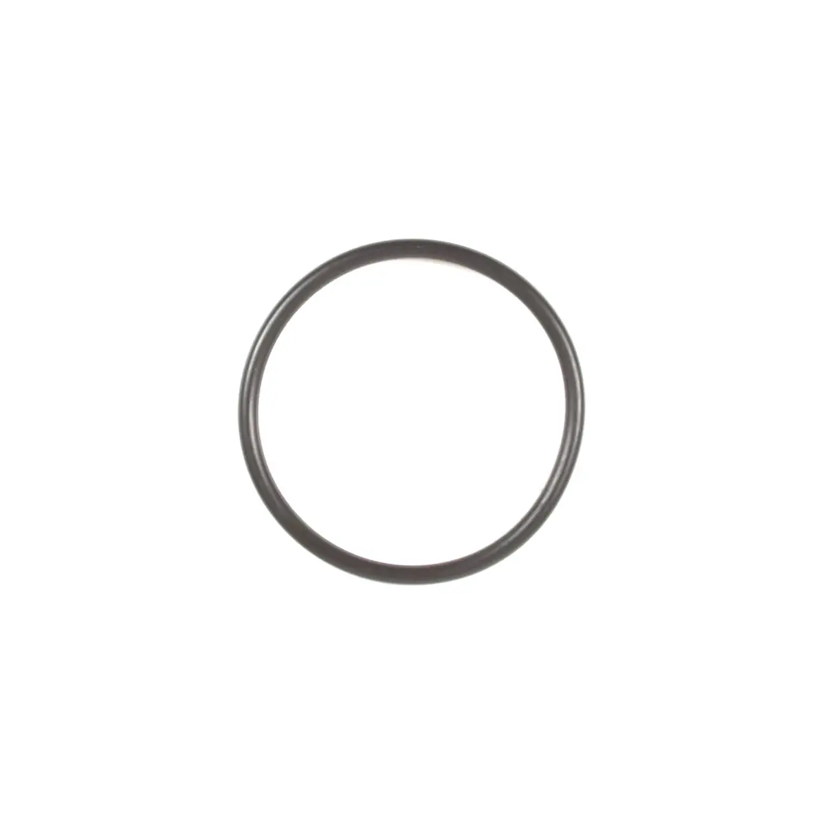 Briggs & Stratton 697123 O-Ring Seal 1