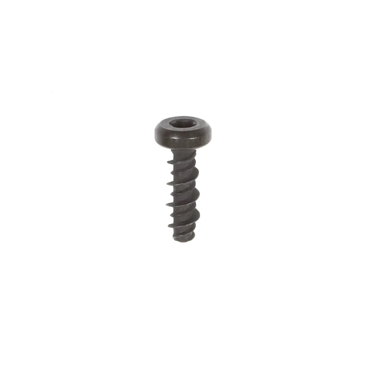 Briggs & Stratton 698304 Screw 1