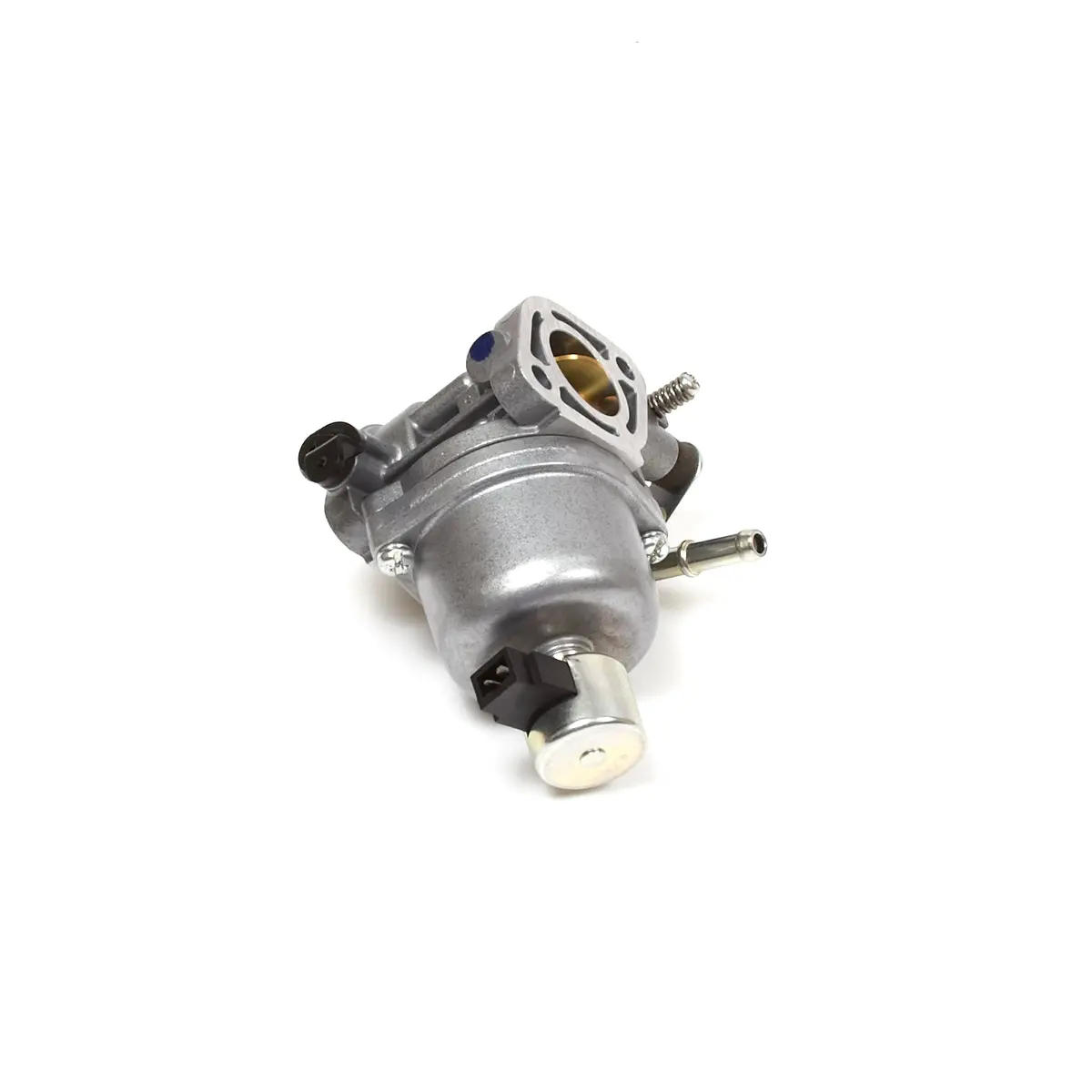 Briggs & Stratton 699807 Carburetor 1