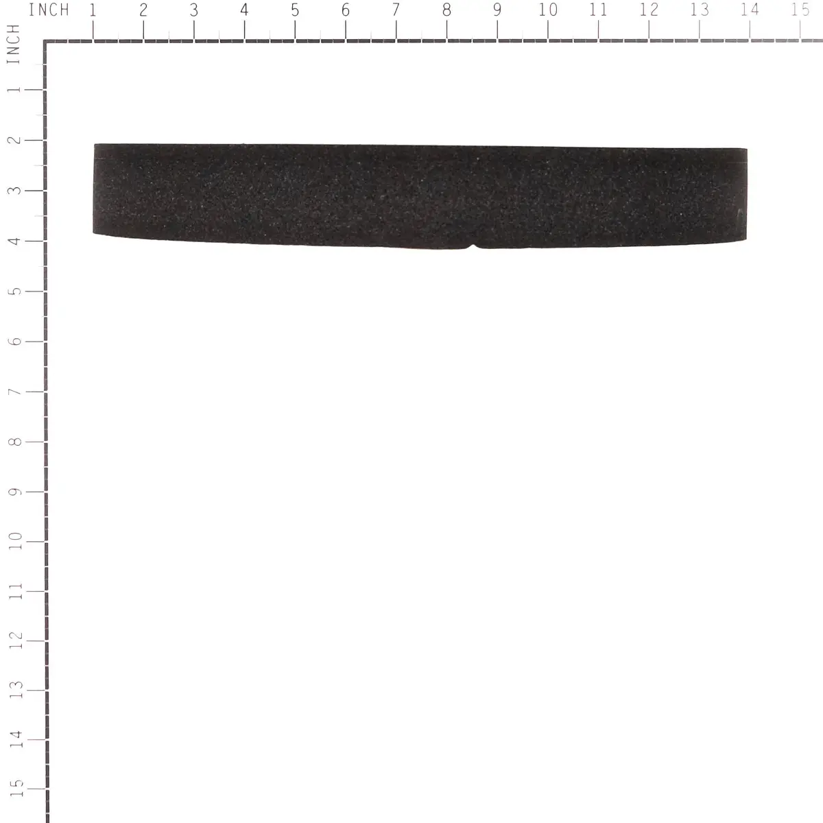 Briggs & Stratton 770801 Seal 2
