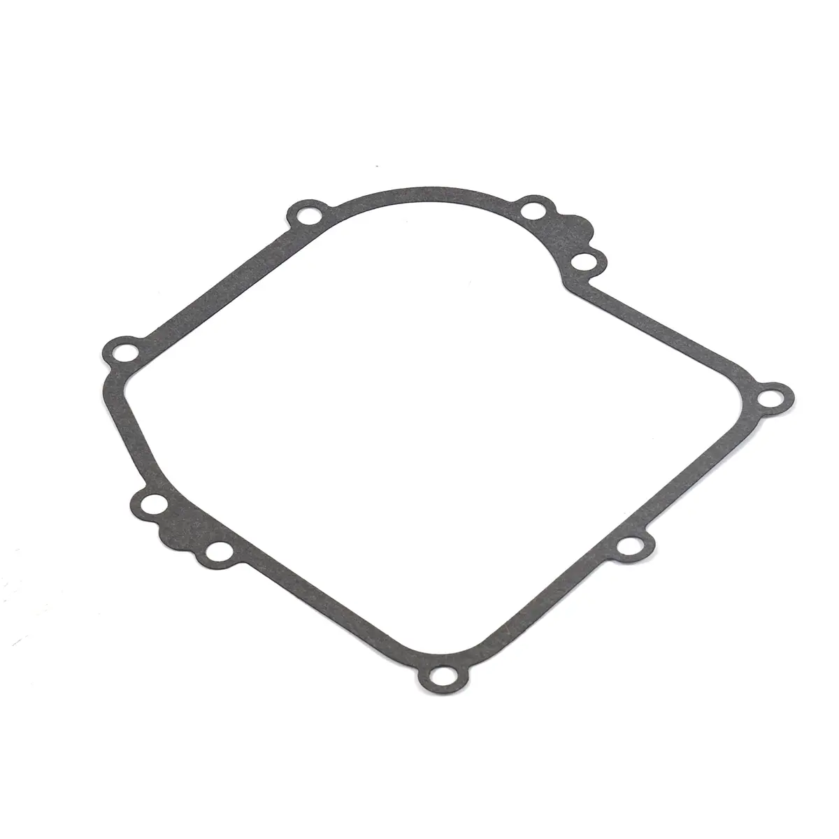 Briggs & Stratton 799587 Crankcase Gasket 1