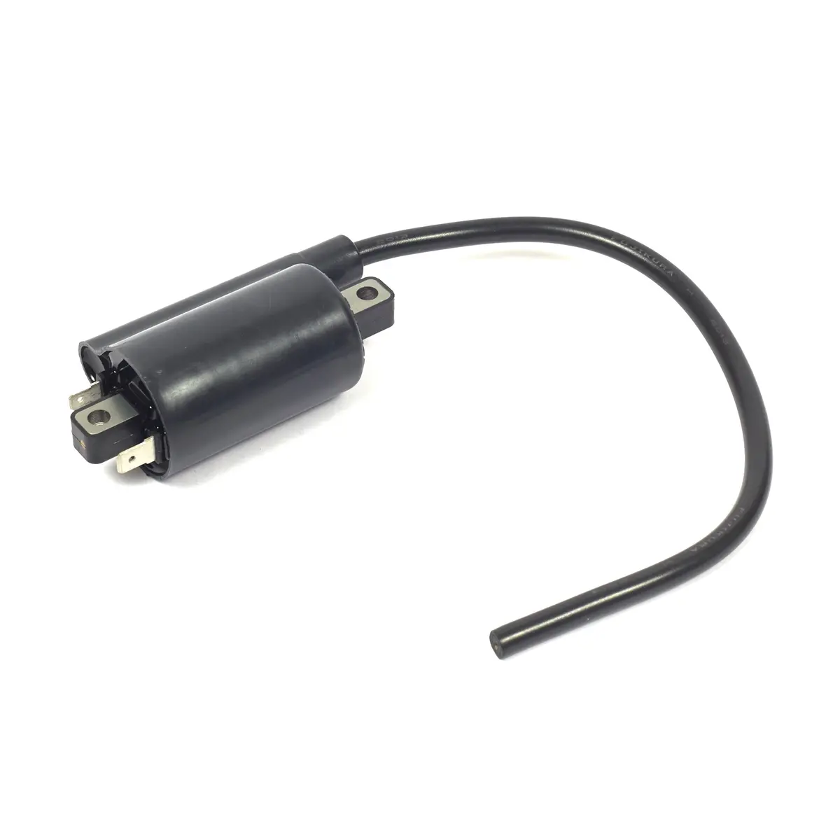 Briggs & Stratton 820037 Ignition Coil 1