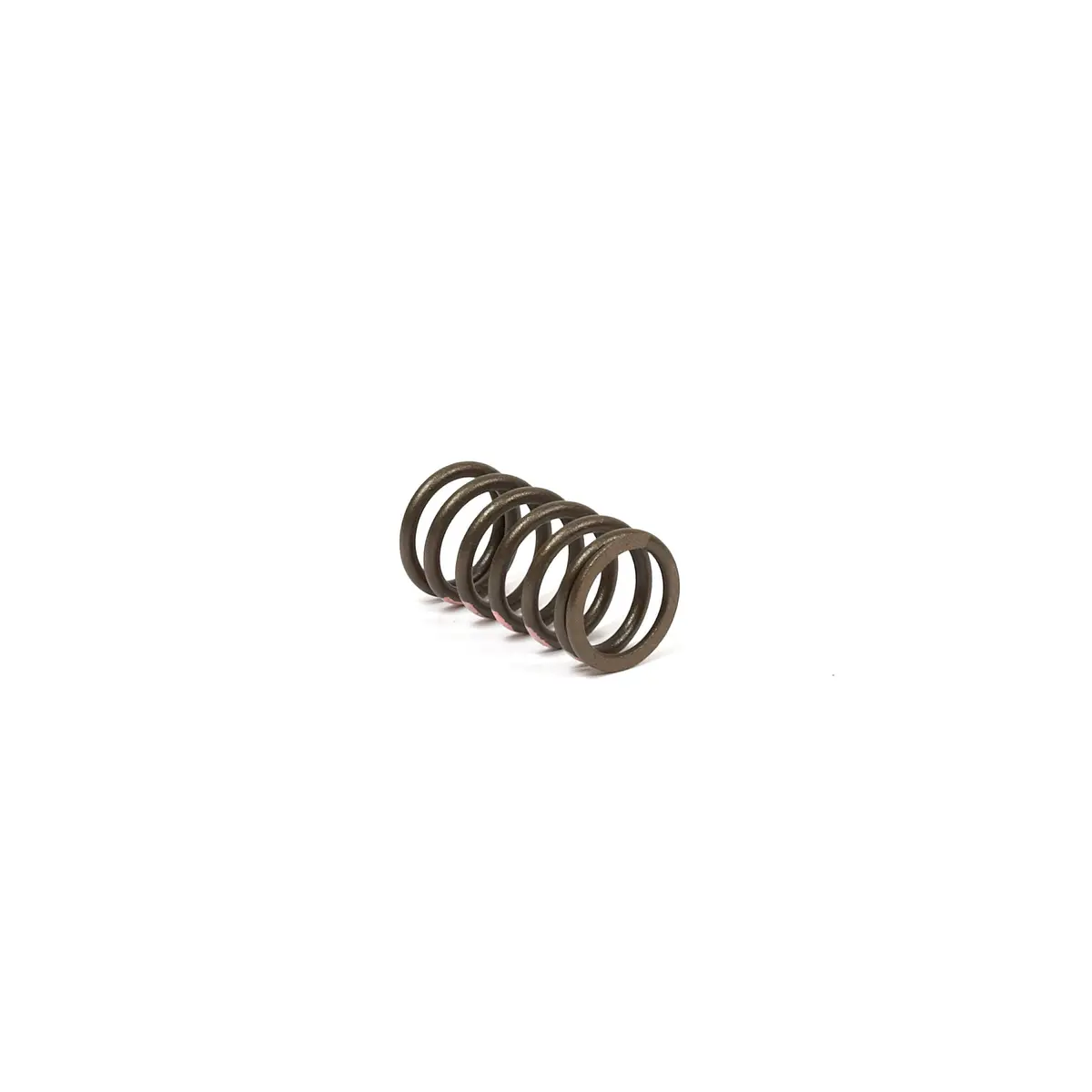 Briggs & Stratton 845589 Valve Spring 1