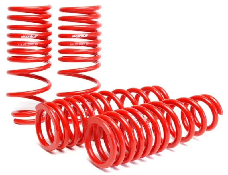 Skunk2 Lowering Springs For 1992–1995 Honda Civic & Del Sol – 2.25–2.50" Drop (Set Of 4) 1